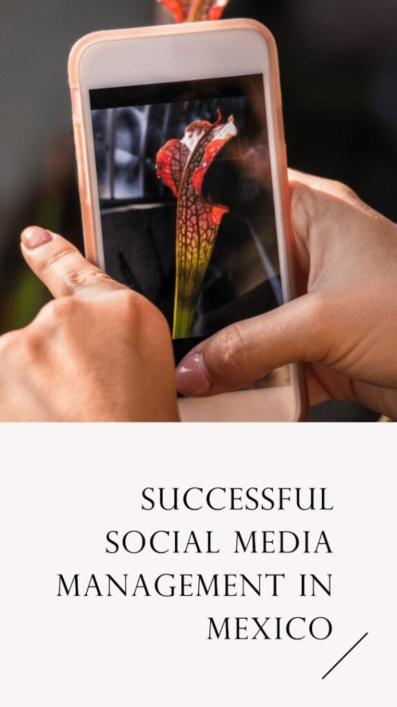 Tips para una exitosa gestión de redes sociales en México